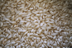 Riz